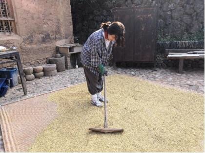 浙江一95后女孩新生活，休学后进山做农民，你能理解此做法吗？