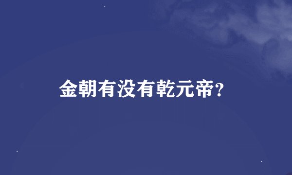 金朝有没有乾元帝？