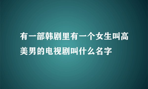 有一部韩剧里有一个女生叫高美男的电视剧叫什么名字