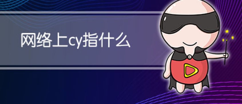 cy是什么意思？