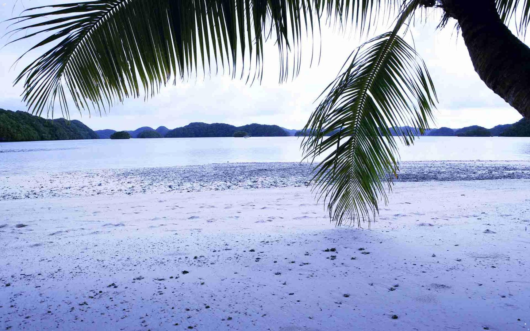 中国十大丝巾品牌名次榜？