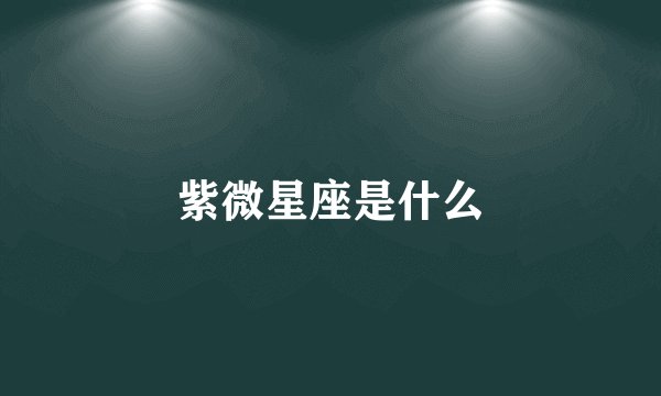 紫微星座是什么