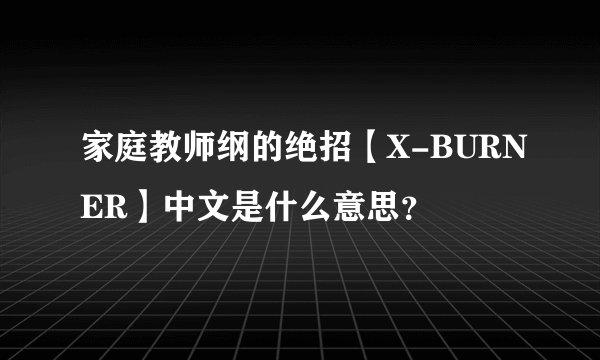 家庭教师纲的绝招【X-BURNER】中文是什么意思？