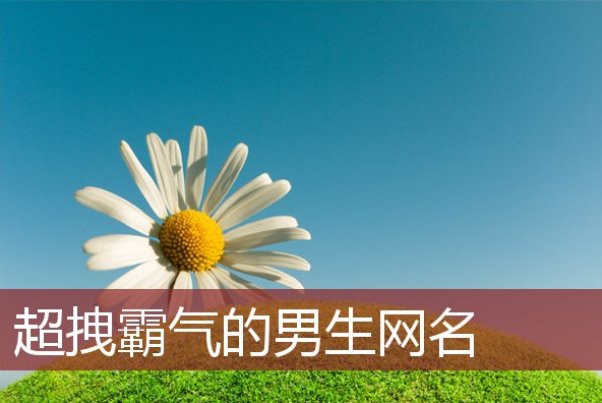 2024年最火的网名