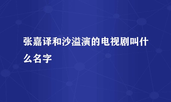 张嘉译和沙溢演的电视剧叫什么名字
