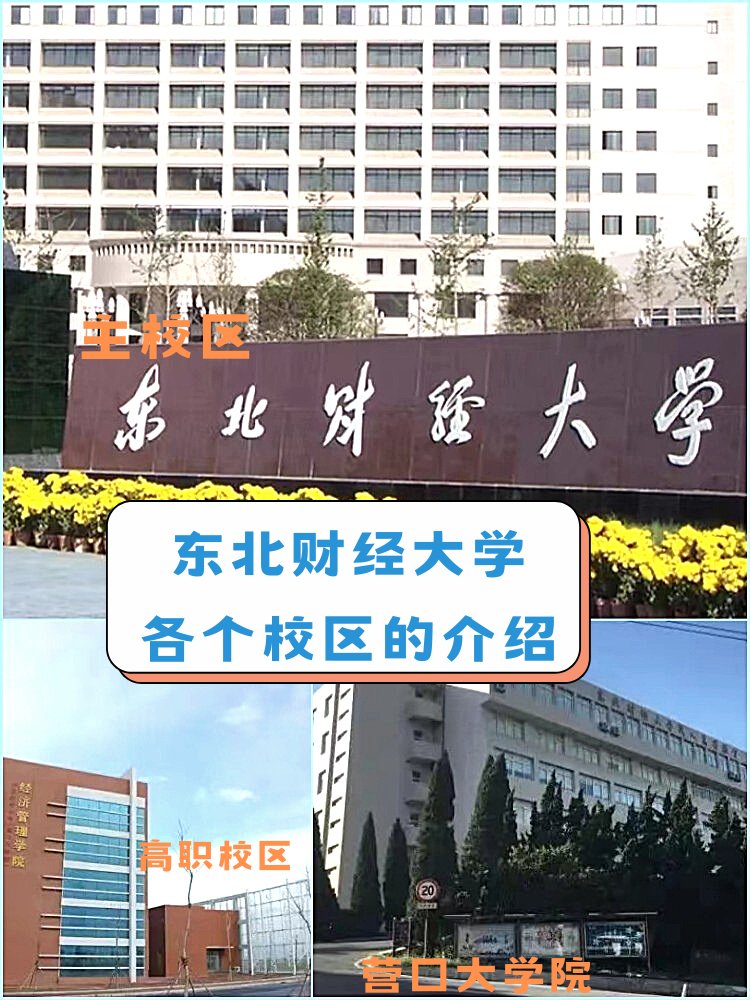 东北财经大学主校区在哪里？