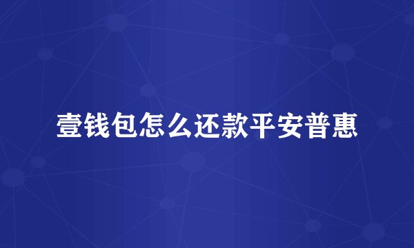 壹钱包怎么还款平安普惠
