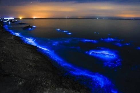 浙江北麂岛现繁星入海奇景，这个景色有多美？