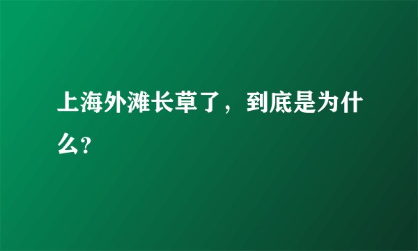 上海外滩长草了，到底是为什么？