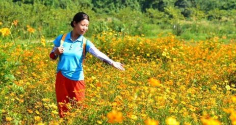 游客跳进网红粉黛花海拍照,工作人员对此有何回应?