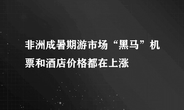 非洲成暑期游市场“黑马”机票和酒店价格都在上涨