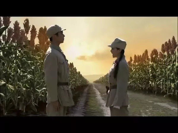 为什么大家对《高梁红了》这部电影的评价非常的高呢？