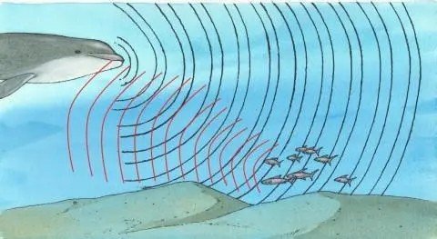 必有回响的上一句