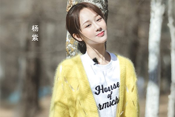 赵薇公开在微博平台回应杨紫的表白,到底是出于什么目的?