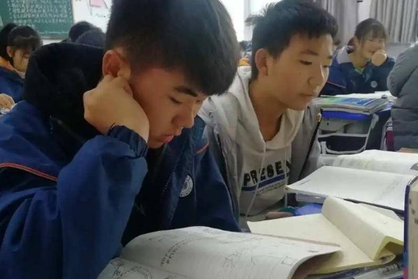 brawl是什么意思