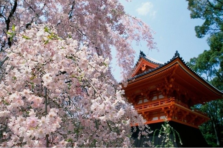 九城是什么意思