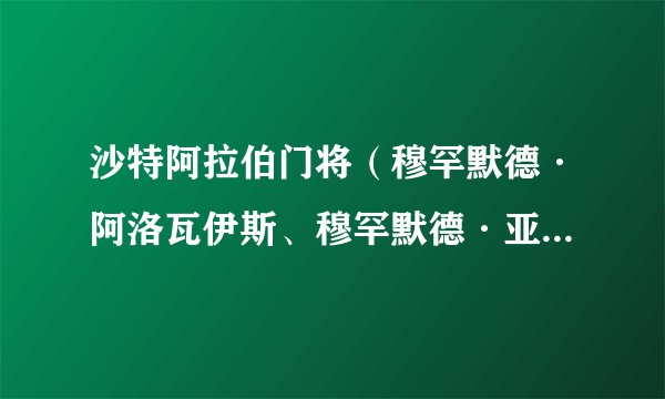 沙特阿拉伯门将(穆罕默德·阿洛瓦伊斯、穆罕默德·亚米、纳瓦夫·阿奇迪)