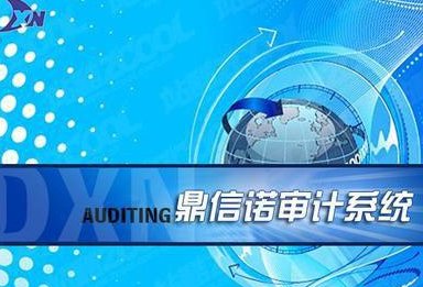 鼎信诺审计软件怎么用？