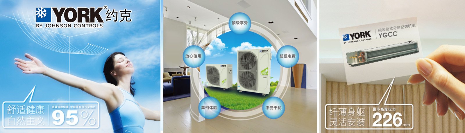 约克论坛的网站简介