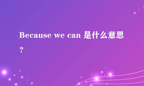 Because we can 是什么意思？