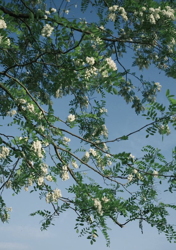 怎么评价电影《粉红女郎》？