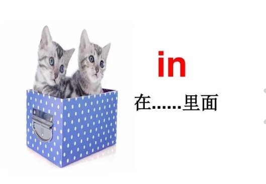 in hospital是什么意思？