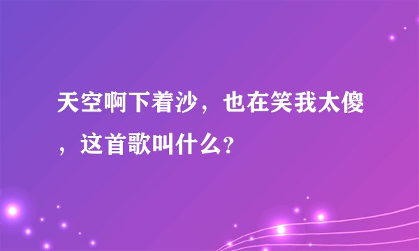 天空啊下着沙，也在笑我太傻，这首歌叫什么？