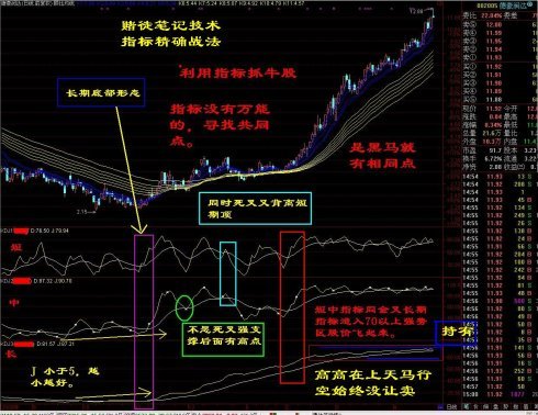 赌徒笔记的介绍