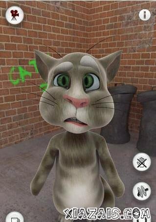 学舌猫的游戏内容