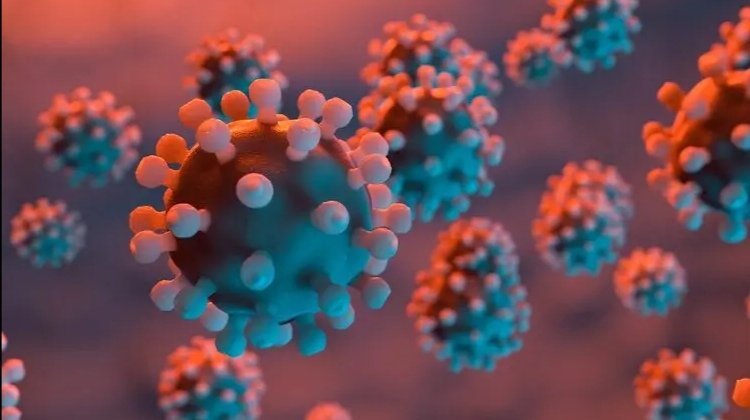 黑龙江齐齐哈尔公路客运全线停运，此举的原因是什么？