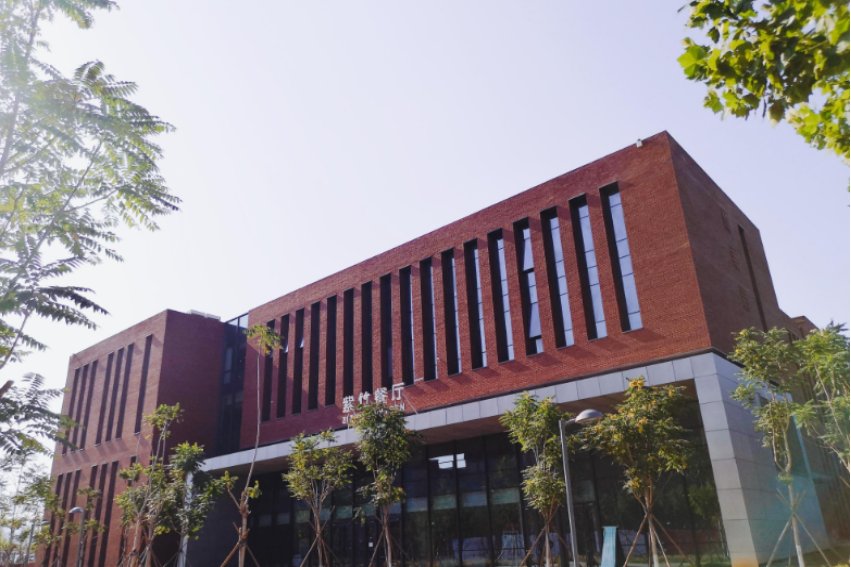 全国大学代码是多少？