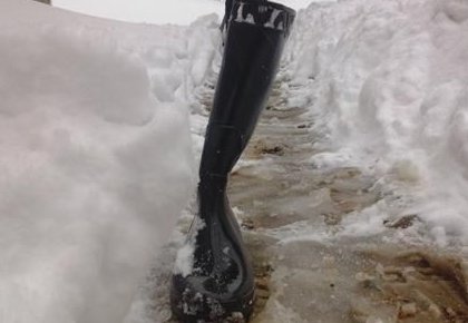 安徽暴雪已致4人死亡了吗?