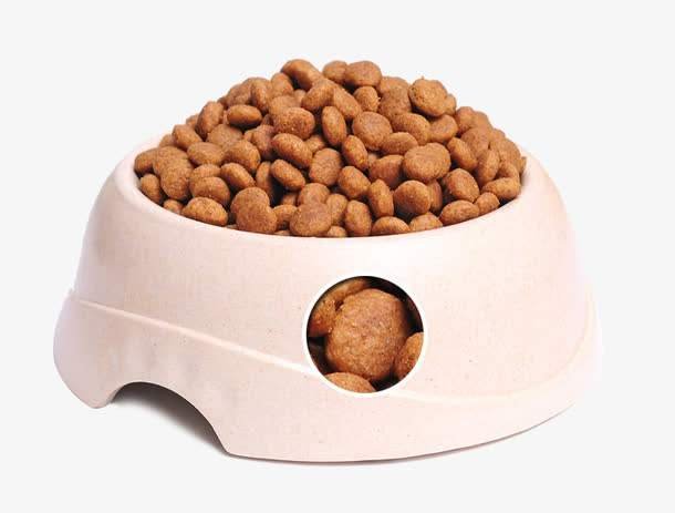 阿拉斯加雪橇犬究竟喜欢吃什么呢？