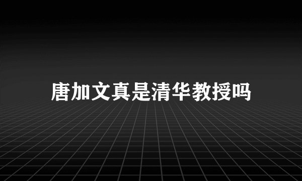 唐加文真是清华教授吗