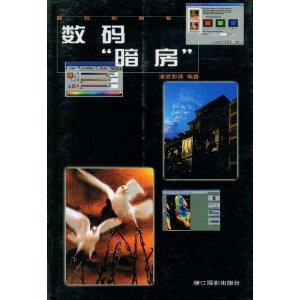 迪派影像的介绍